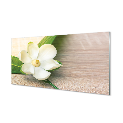 Szklany Panel Biała magnolia