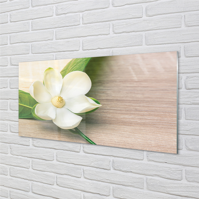 Szklany Panel Biała magnolia