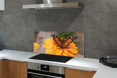 Panel szklany do Kuchni Barwny Motyl w Zbliżeniu