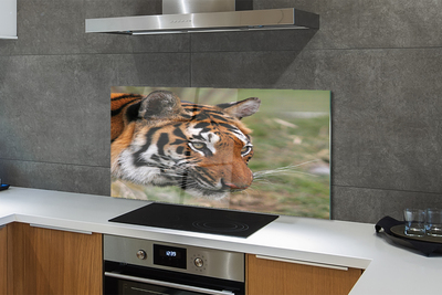 Panel szklany do Kuchni Władca Dżungli w Gęstwinie