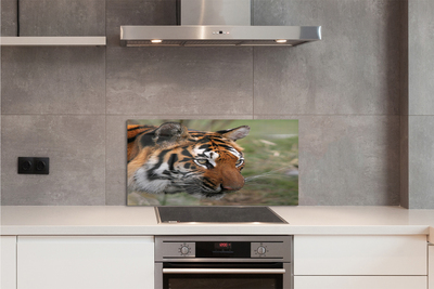 Panel szklany do Kuchni Władca Dżungli w Gęstwinie