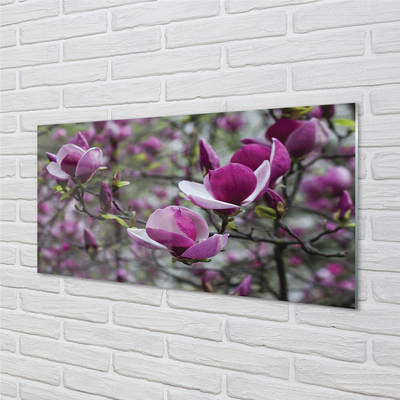 Szklany Panel Fioletowa magnolia