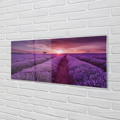 Szkło do Kuchni na Ścianę Prowansalski Styl Wrzosów