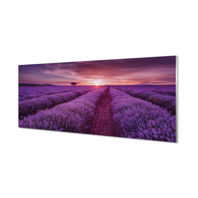 Szkło do Kuchni na Ścianę Prowansalski Styl Wrzosów