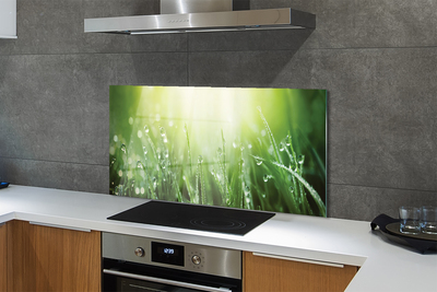 Szklany Panel Trawa w Promieniach Słońca