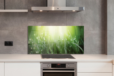 Szklany Panel Trawa w Promieniach Słońca