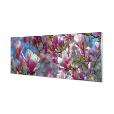Szklany Panel Drzewa Magnolii w Rozkwicie