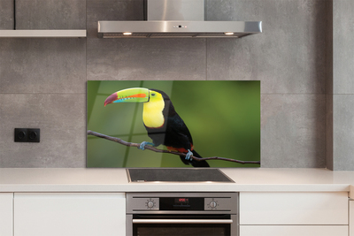 Panel szklany do Kuchni Egzotyczny Ptak na Gałęzi