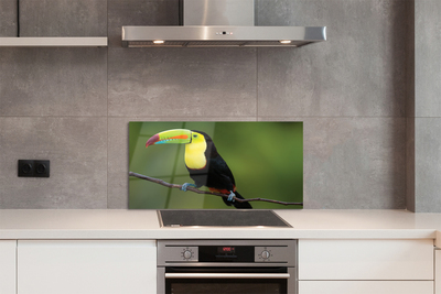 Panel szklany do Kuchni Egzotyczny Ptak na Gałęzi