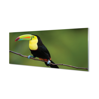 Panel Szklany Kolorowa papuga na gałęzi