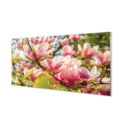 Szklany Panel Różowa magnolia