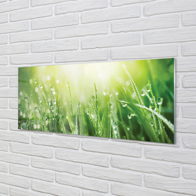 Szklany Panel Krople Rosy w Słońcu