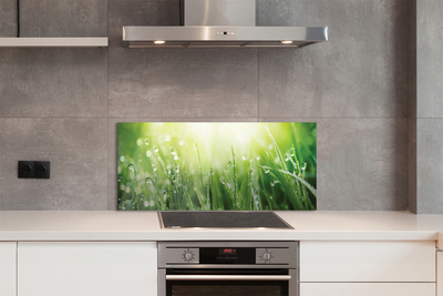 Szklany Panel Krople Rosy w Słońcu