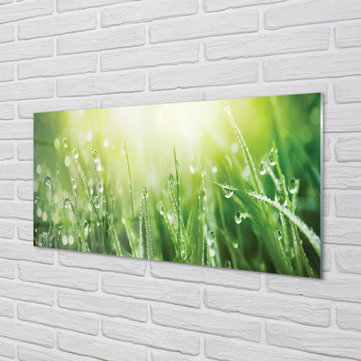 Szklany Panel Krople Rosy w Słońcu