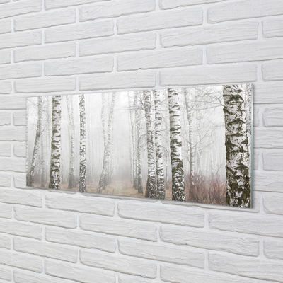Szklany Panel Mgła brzozy