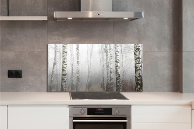 Panel szklany do Kuchni Mglisty Poranek wśród Brzóz