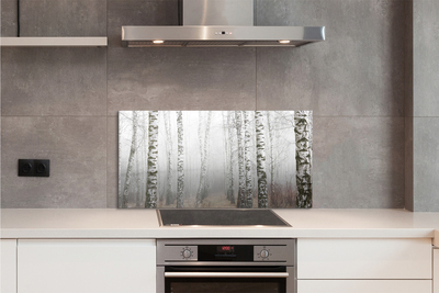 Panel szklany do Kuchni Mglisty Poranek wśród Brzóz