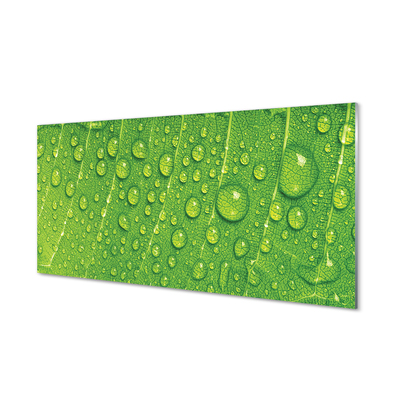 Szklany Panel Makro Detal Liścia z Rosą