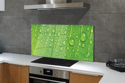 Szklany Panel Makro Detal Liścia z Rosą