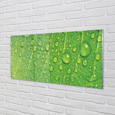 Szklany Panel Makro Detal Liścia z Rosą