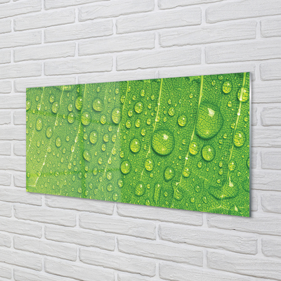 Szklany Panel Makro Detal Liścia z Rosą