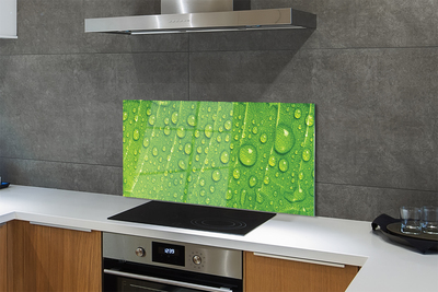 Szklany Panel Makro Detal Liścia z Rosą