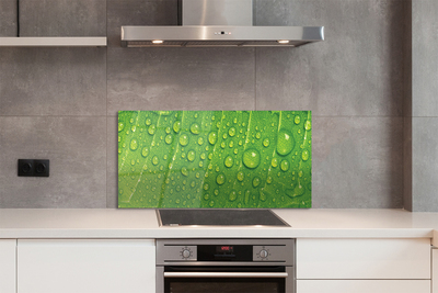 Szklany Panel Makro Detal Liścia z Rosą