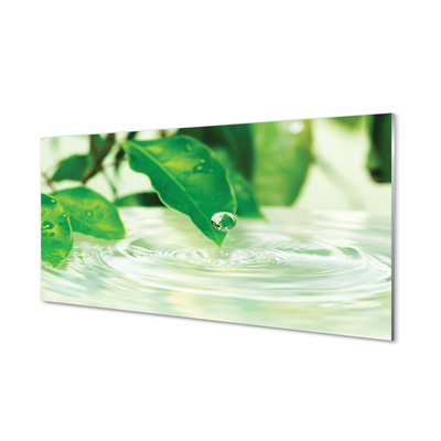 Szklany Panel Krople liście woda
