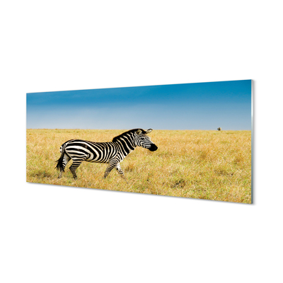 Szklany Panel Zebra pole