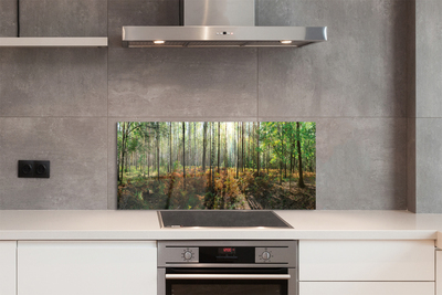 Panel szklany do Kuchni Klasyczny Las Brzozowy