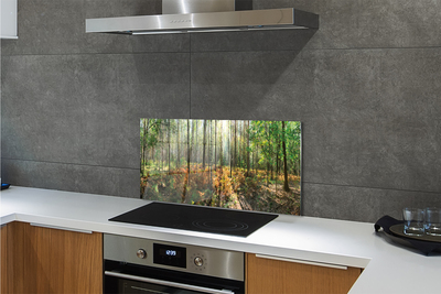 Panel szklany do Kuchni Klasyczny Las Brzozowy