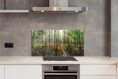 Panel szklany do Kuchni Klasyczny Las Brzozowy