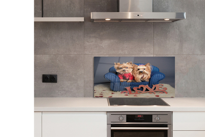 Szklany Panel Urocze Pieski Rasy York