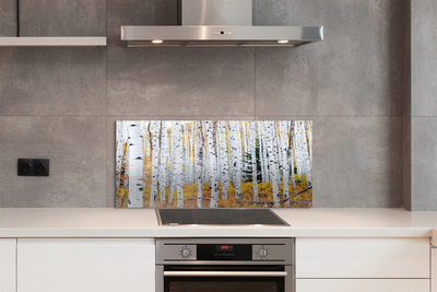 Panel szklany do Kuchni Jesień w Brzozowym Gaju