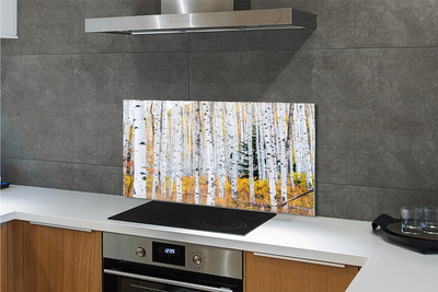 Panel szklany do Kuchni Jesień w Brzozowym Gaju