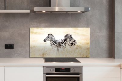 Szklany Panel Zebry na Afrykańskiej Równinie