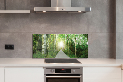 Szklany Panel Droga przez Las Brzozowy