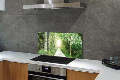 Szklany Panel Droga przez Las Brzozowy