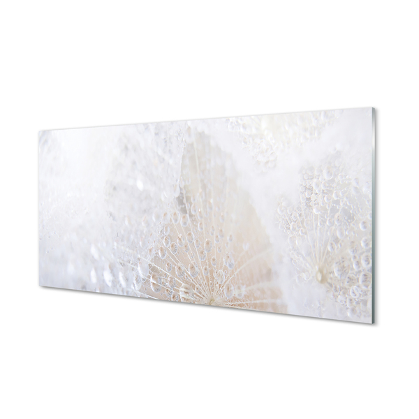 Szklany Panel Dmuchawiec i Rosa w Abstrakcji