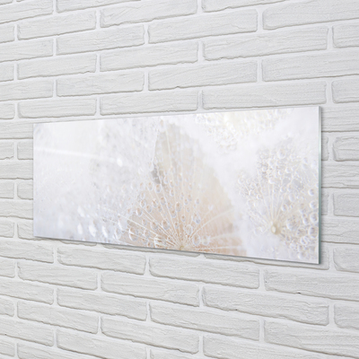 Szklany Panel Dmuchawiec i Rosa w Abstrakcji