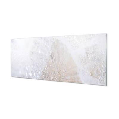 Szklany Panel Dmuchawiec i Rosa w Abstrakcji