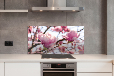 Panel nad Blat Kuchenny Magnolie w Sercu Parku