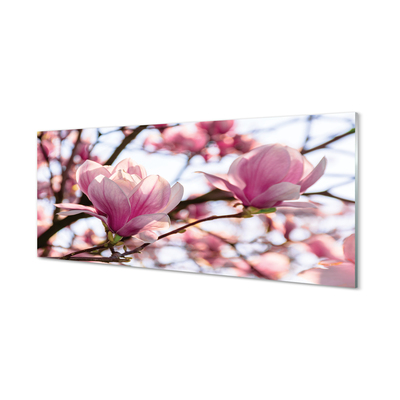 Panel nad Blat Kuchenny Magnolie w Sercu Parku