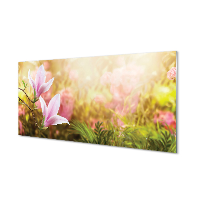 Szklany Panel Magnolia w Słońcu