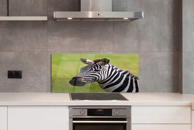 Szklany Panel Zebra w Naturalnym Środowisku
