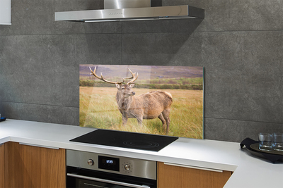 Panel Szklany Samotny Jeleń na tle Horyzontu