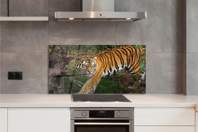 Panel szklany do Kuchni Tygrys wśród Leśnej Roślinności