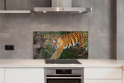 Panel szklany do Kuchni Tygrys wśród Leśnej Roślinności