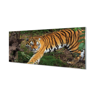 Panel szklany do Kuchni Tygrys wśród Leśnej Roślinności