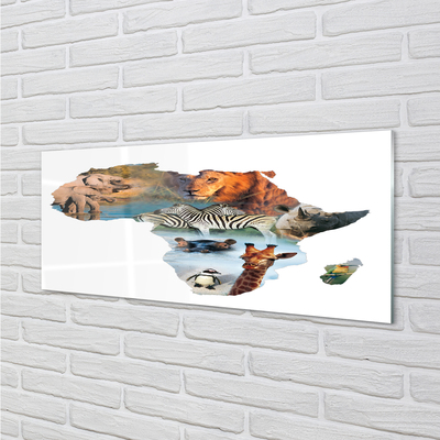 Panel szklany do Kuchni Dzika Fauna: Zebra, Żyrafa i Tygrys